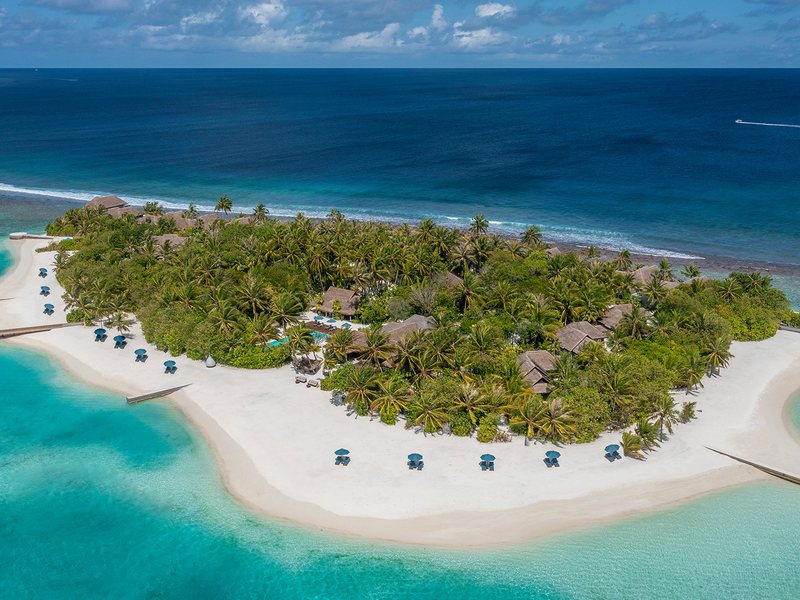 The island, its white beach and jetties, from the air