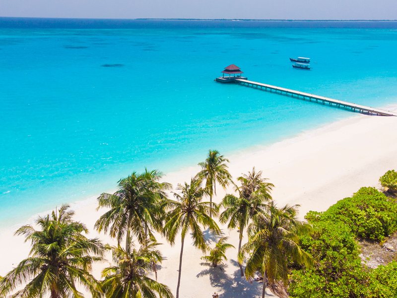 A long white beach, palms and a jetty, from the air