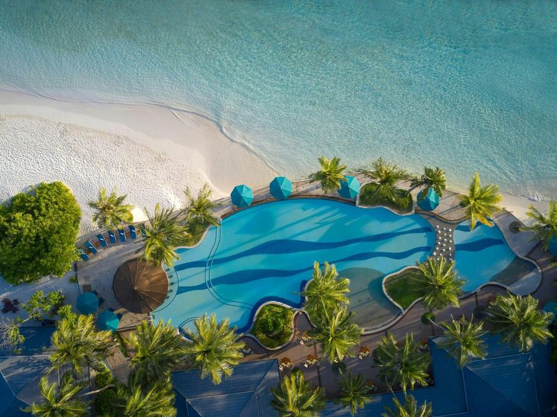 A pool among palms, beside the beach, from above