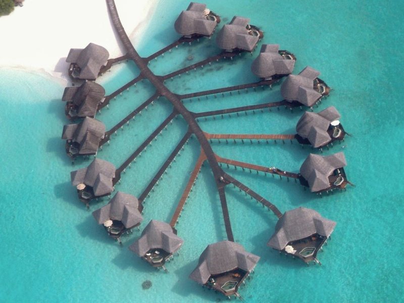 Thatched lagoon villas branching off a leaf-shaped jetty, from above
