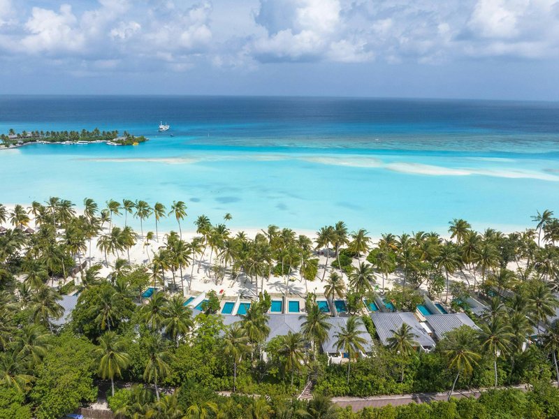 Pool villas among palms on the island, from the air