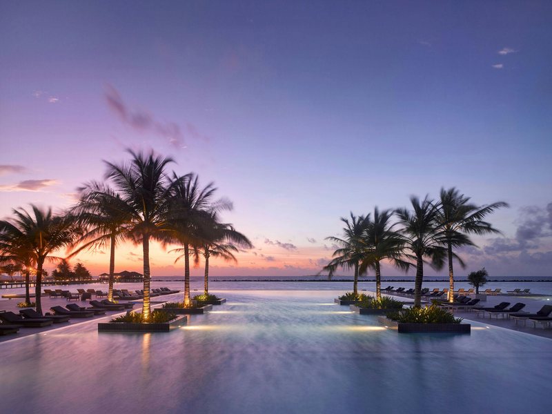 An infinity pool lined with palms at sunset