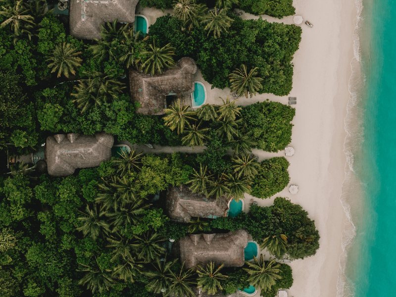 Thatched villas with plunge pools in the jungle beside the beach, from above