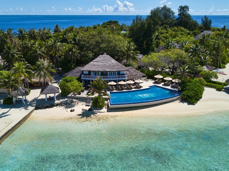 A pool and thatched pavilion above the beach, among palms