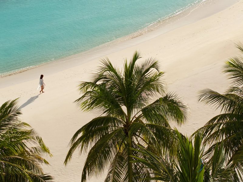 A guest walking along the beach below the palms, from above