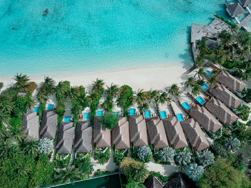 Thatched pool villas along the beach, from above