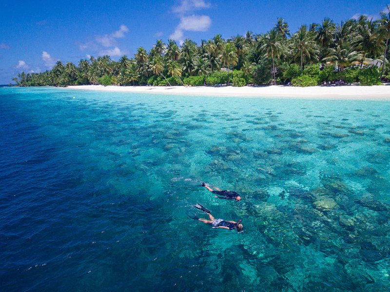 Snorkellers over the house reef, with the island behind